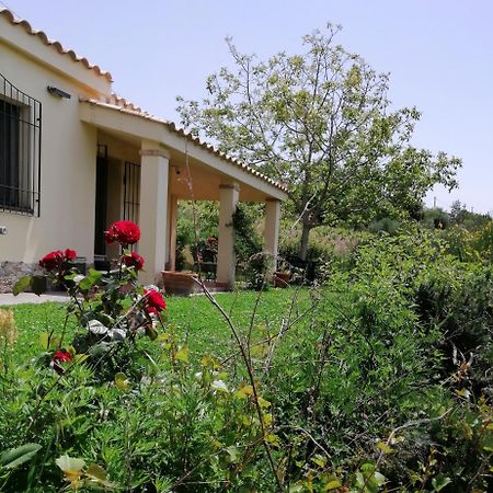 S'Orrosa Casa Vacanze Bifamiliare In Montagna Panorama Stupendo Sardegna Seulo Exterior photo