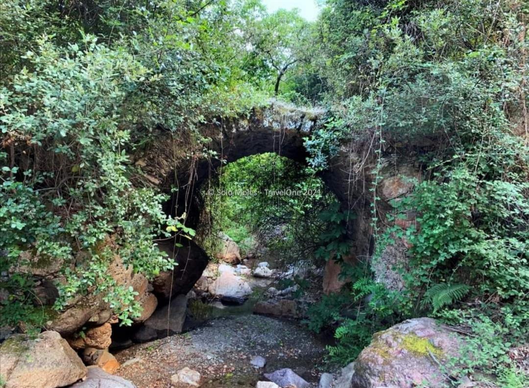 S'Orrosa Casa Vacanze Bifamiliare In Montagna Panorama Stupendo Sardegna Seulo Exterior photo