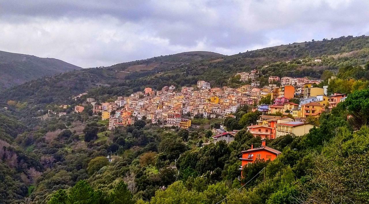 S'Orrosa Casa Vacanze Bifamiliare In Montagna Panorama Stupendo Sardegna Seulo Exterior photo