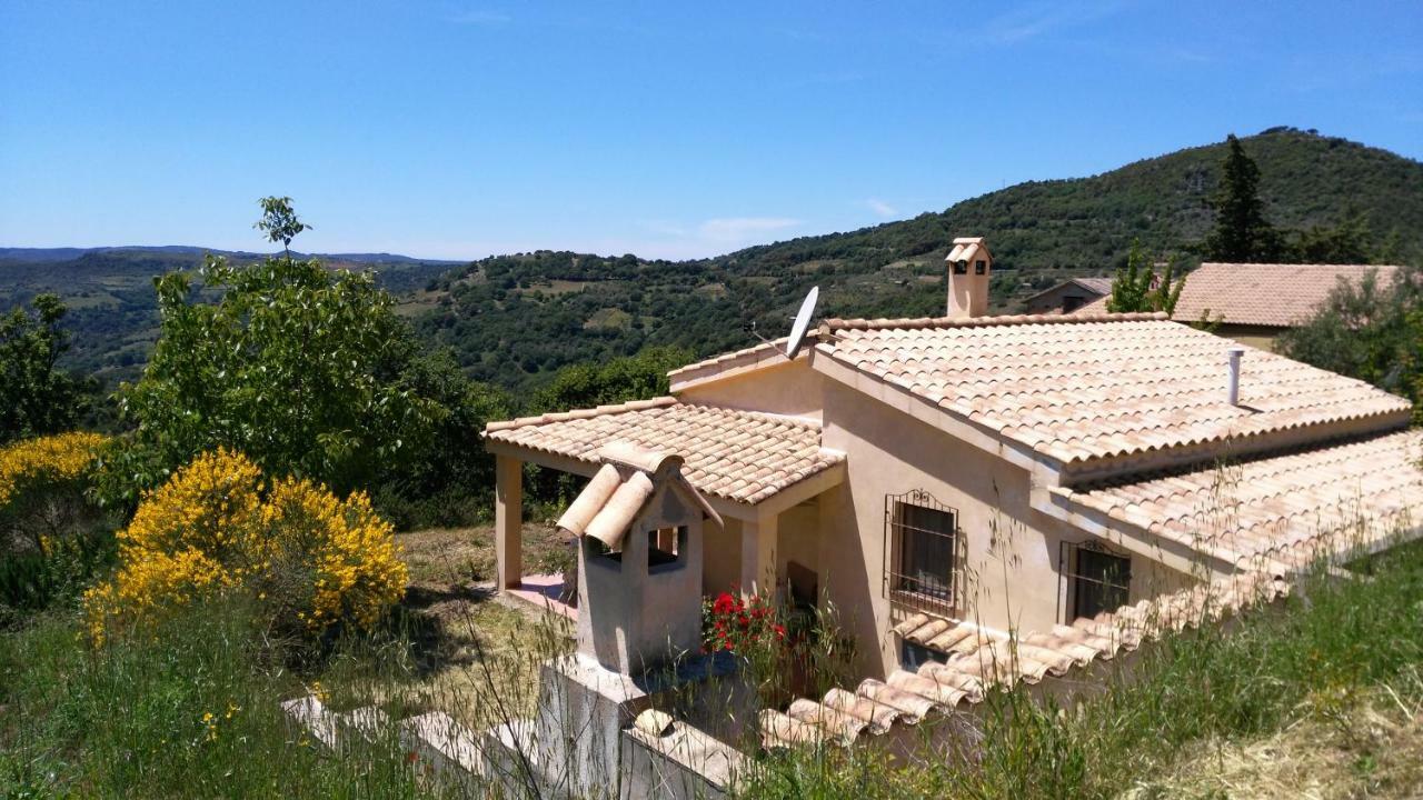 S'Orrosa Casa Vacanze Bifamiliare In Montagna Panorama Stupendo Sardegna Seulo Exterior photo