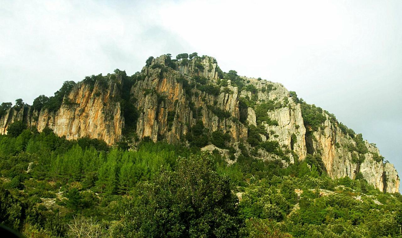 S'Orrosa Casa Vacanze Bifamiliare In Montagna Panorama Stupendo Sardegna Seulo Exterior photo